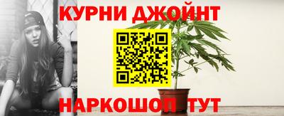 индика Бийск