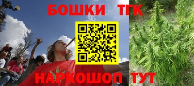 индика Бийск