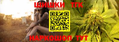 индика Бийск